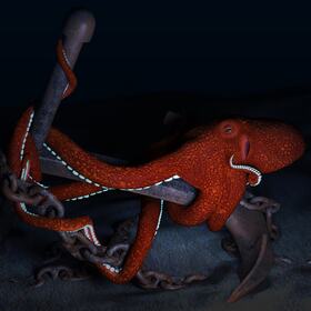 Octopus and anchor