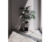 PoshCat Litter Box - Design - 1